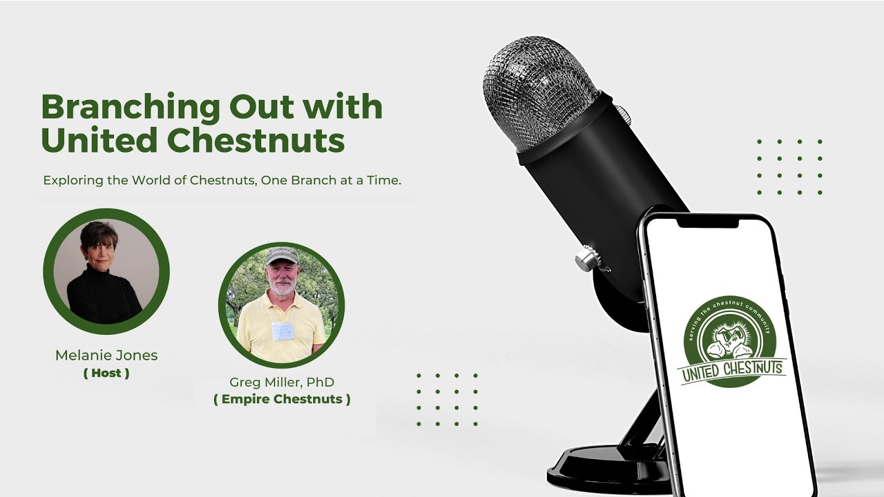 Greg Miller of Route 9 joins Melanie Jones on Branching Out to discuss growing chestnut trees