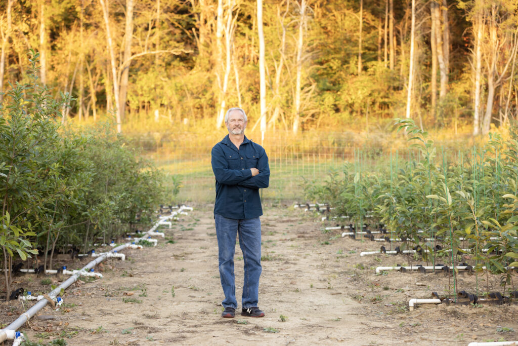 Brad Jones of United Chestnuts standing in one of their seedling nurseries.