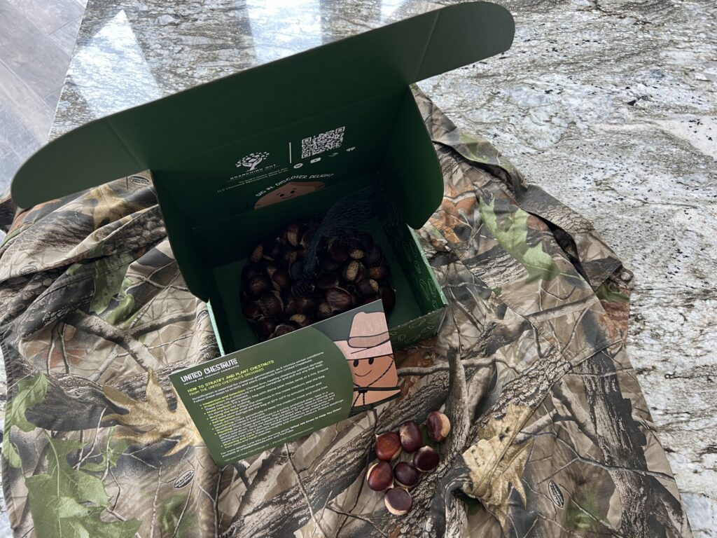 How to Incorporate Chestnut trees into food plots.