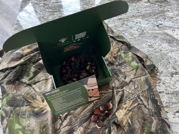 Box of Dunstan chestnut seed nuts with camo packaging