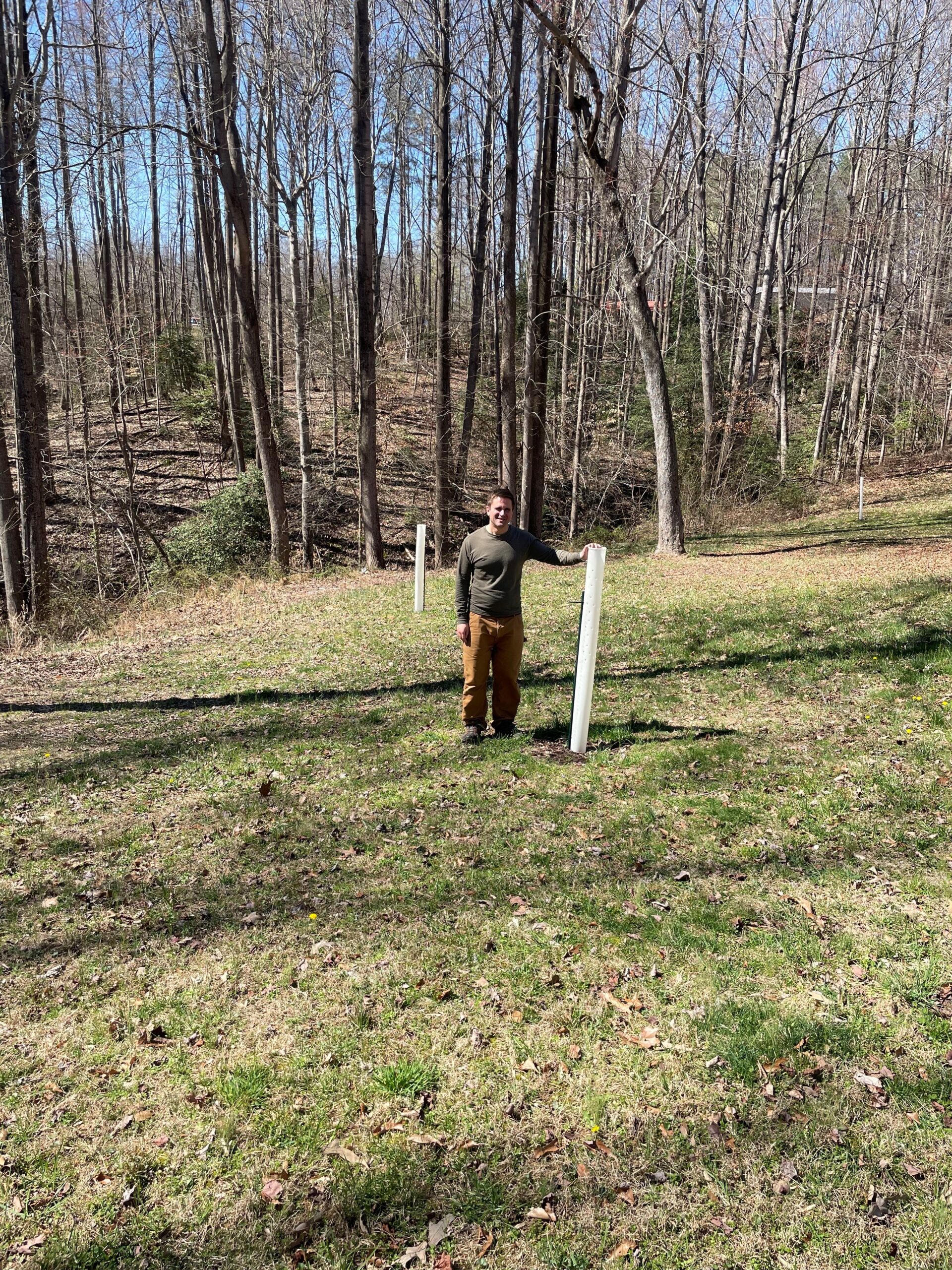 Chestnut Growing At Home Landowners Growing Chestnut Trees