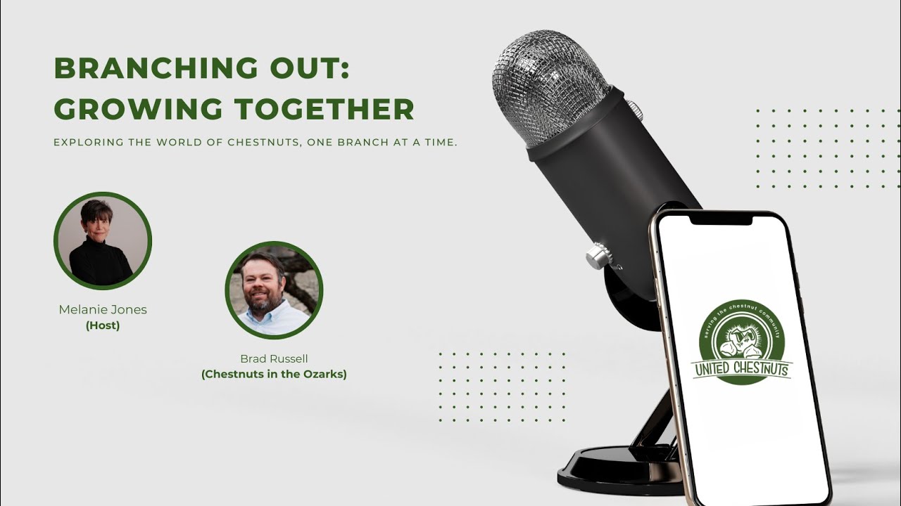Brad Russell joins Branching Out chestnut podcast with Melanie Jones