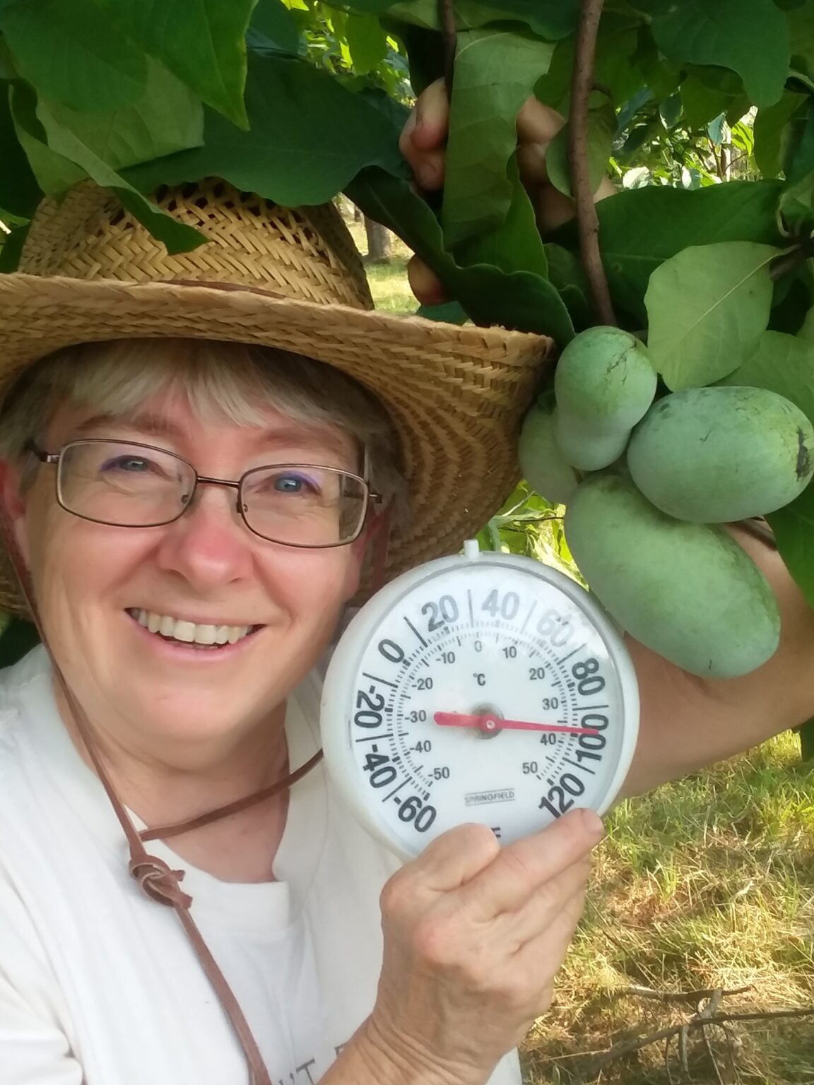 Kathy Dice - Another woman leading the chestnut industry.