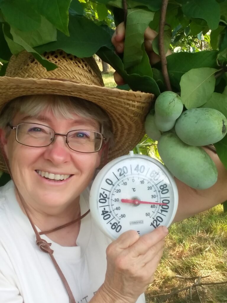 Kathy Dice - Another woman leading the chestnut industry.