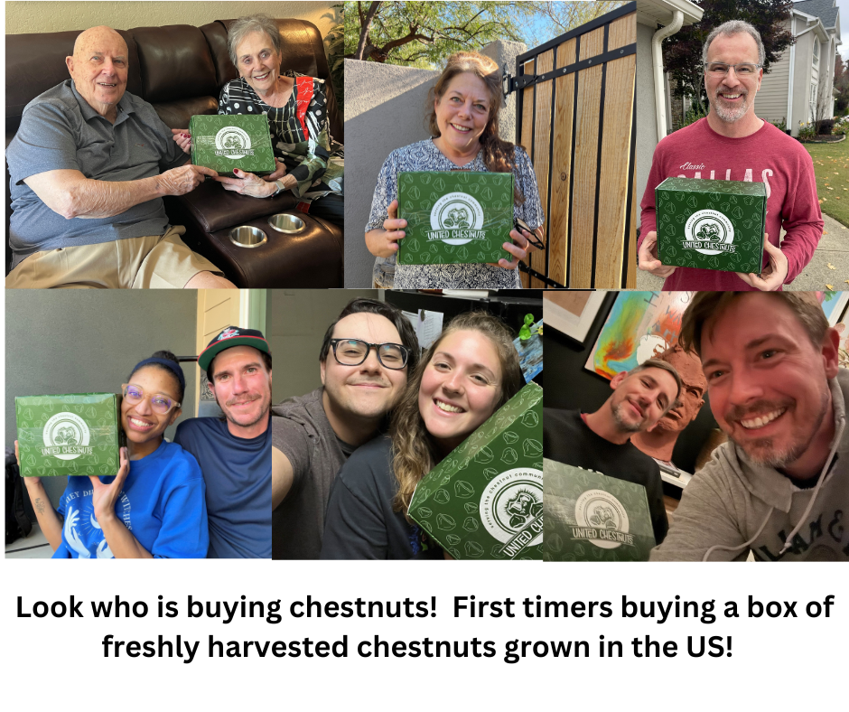 who is buying chestnuts in the US?