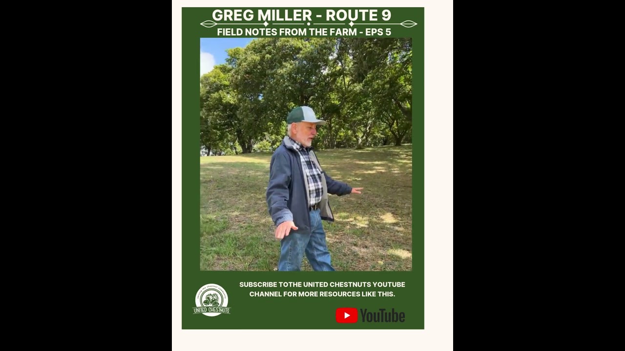 Field Notes From The Farm: Greg Miller – Route 9 – Eps 5 #chestnuts #unitedchestnuts #route9