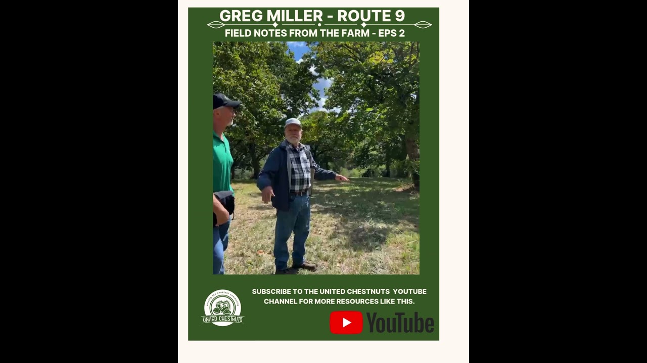 Field Notes From The Farm: Greg Miller – Route 9 – Eps 2 #chestnuts #unitedchestnuts #route9