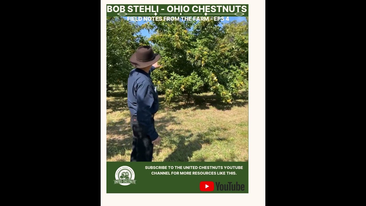 Field Notes From The Farm: Bob Stehli - Ohio Chestnuts -Eps 4 #chestnuts #unitedchestnuts #bobstehli