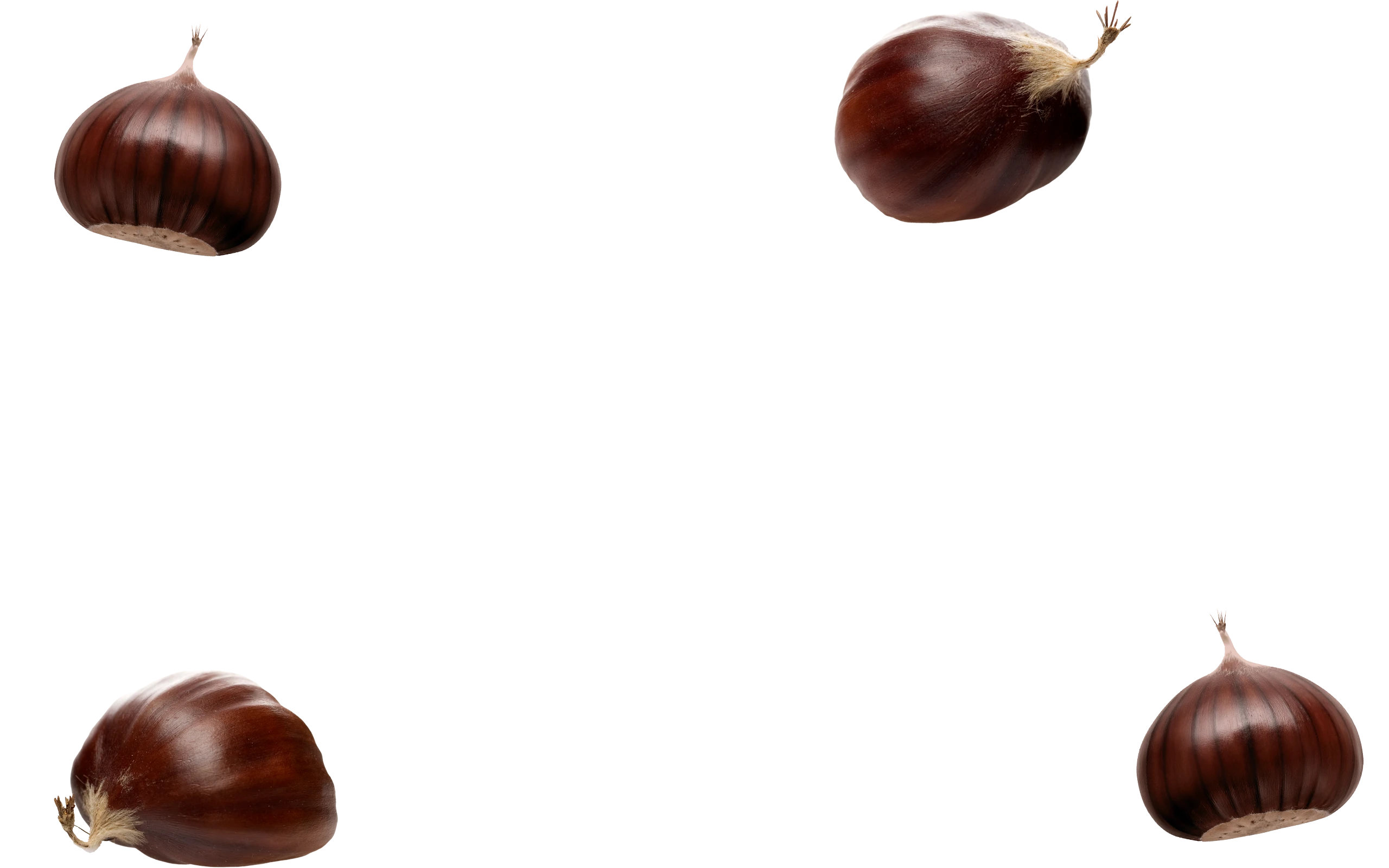 Nut-Layer-A-2 Nut-Layer-A-2