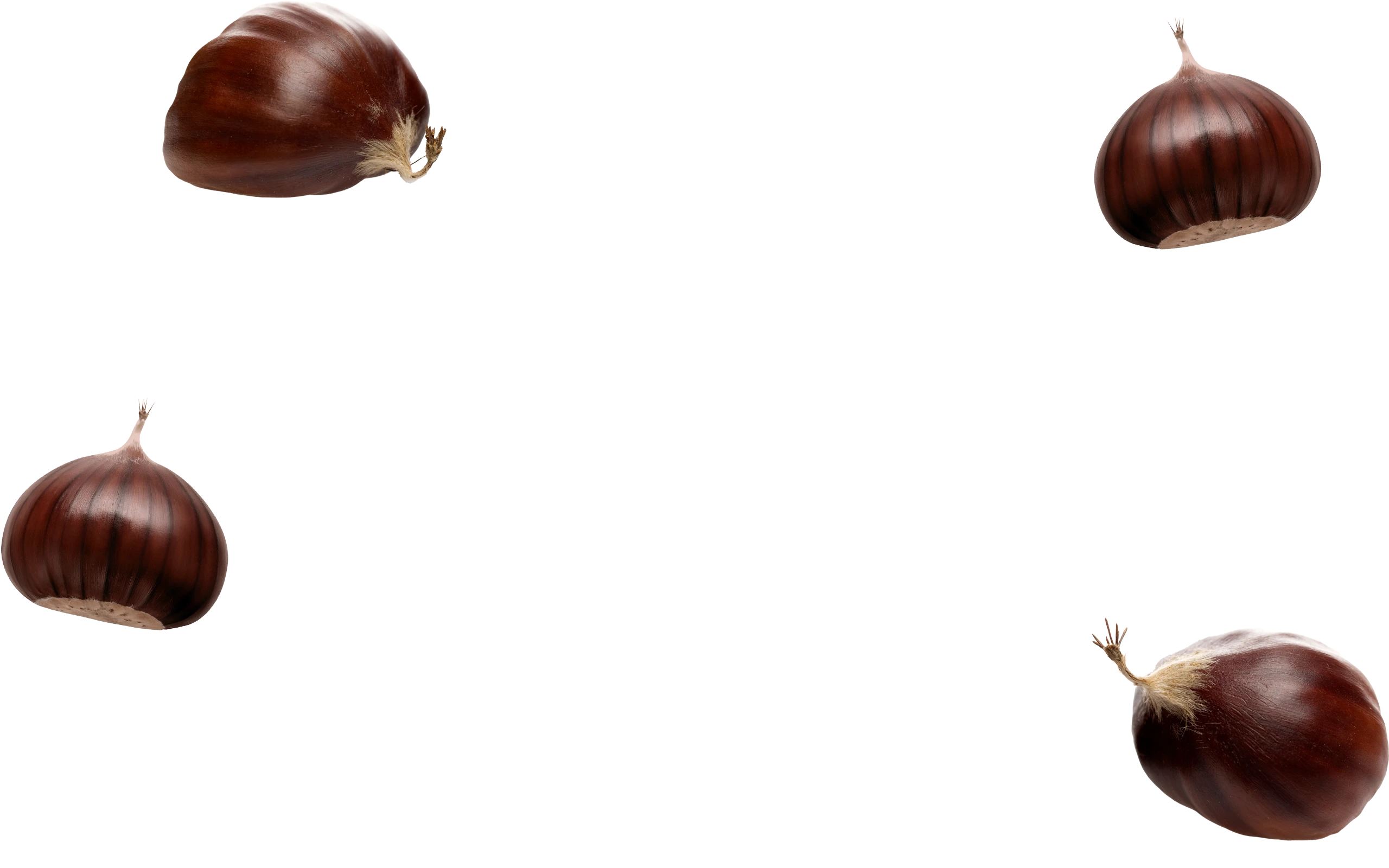 Nut-Layer-B-3 Nut-Layer-B-3