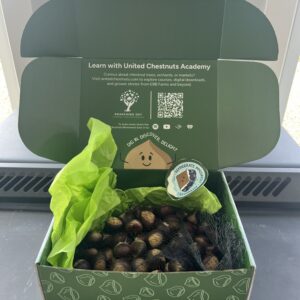 Two pound box of chestnuts from EBB Farms and United Chestnuts orchards.