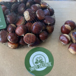 Two Pounds Dunstan Premium Seed Nuts (Fall 2025)