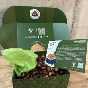 Five Pounds Chestnuts (Great for gifting, families and food lovers)