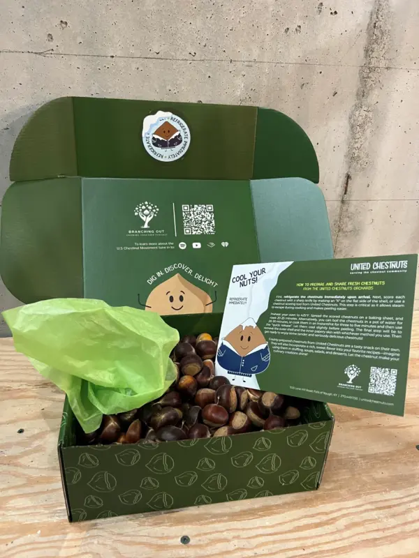 Ten Pounds Chestnuts (For serious cooks, events and storing)