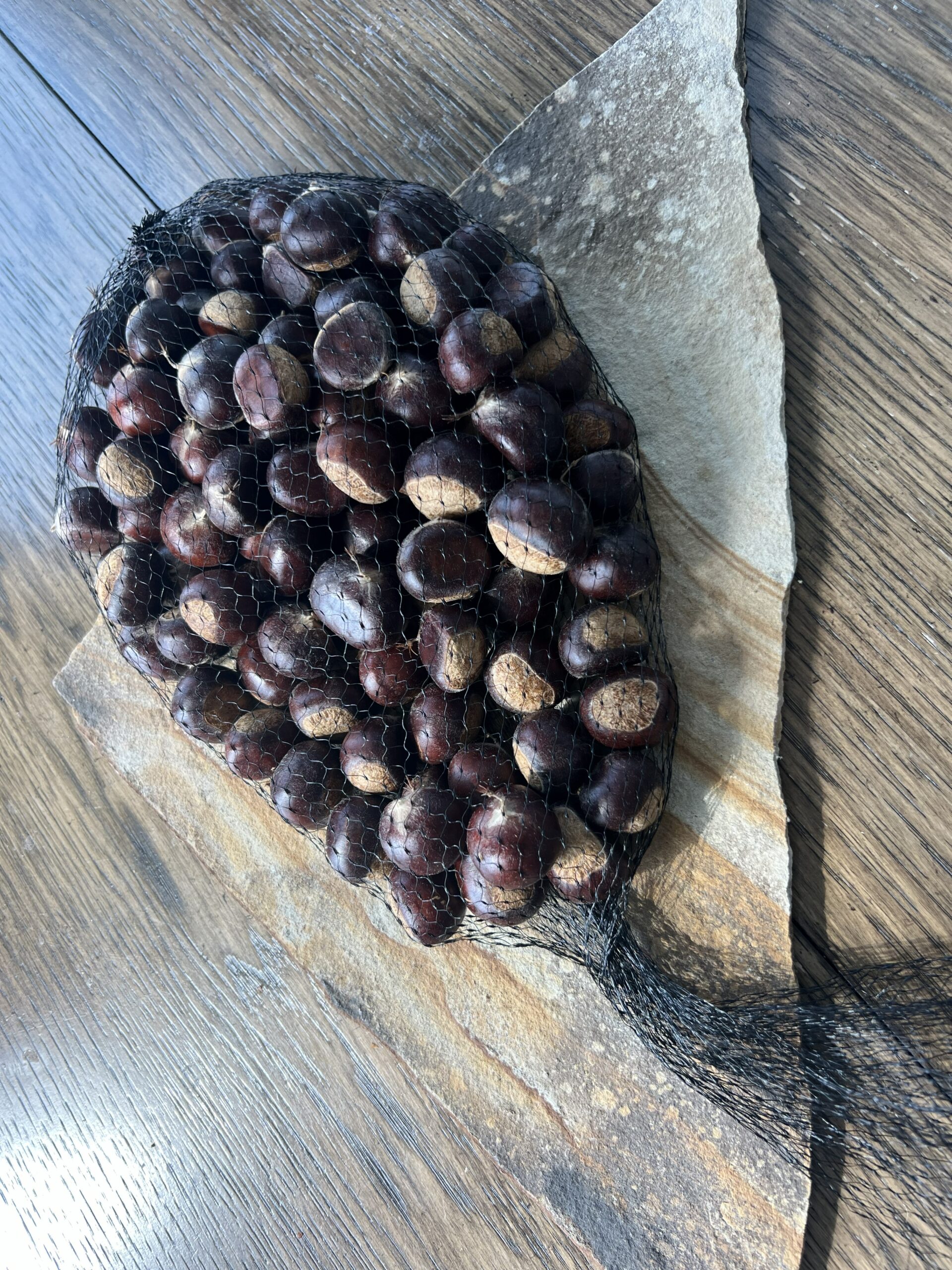 A bag of fresh chestnuts picked in the Kentucky orchards at EBB Farms.