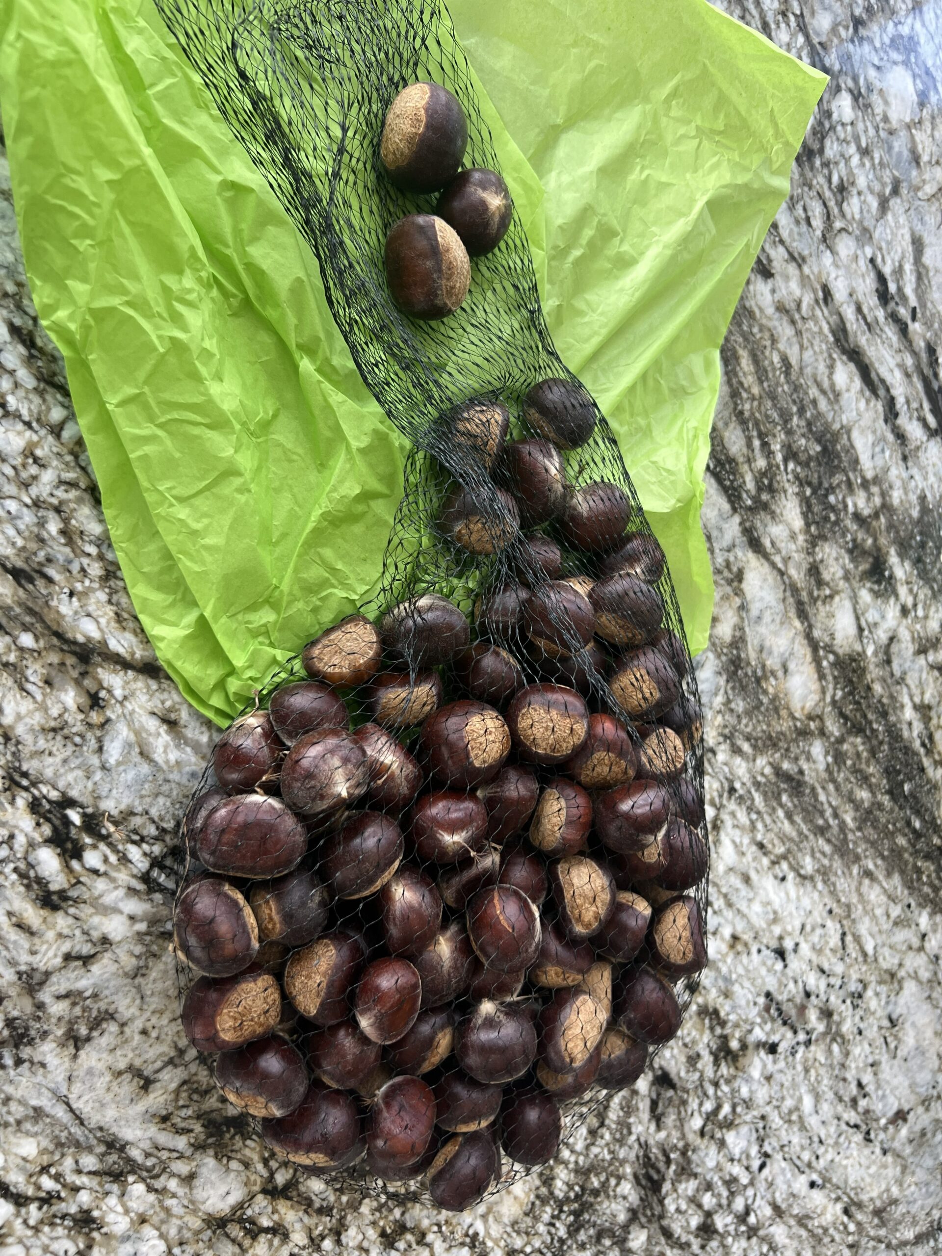 Chestnuts in a two pound bag ready to ship to customers from EBB Farms.