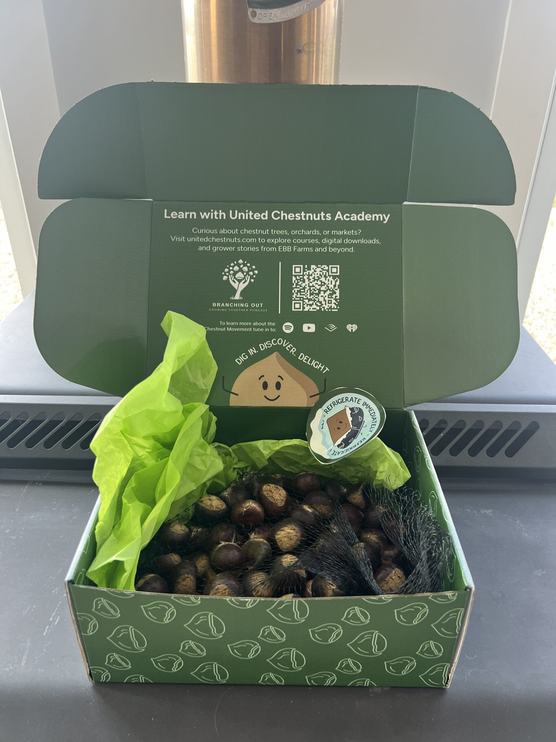 Chestnuts in two pound box ready to ship from EBB Farms