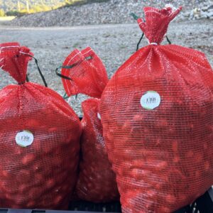 25 pound bag of fresh chestnuts from EBB Farms