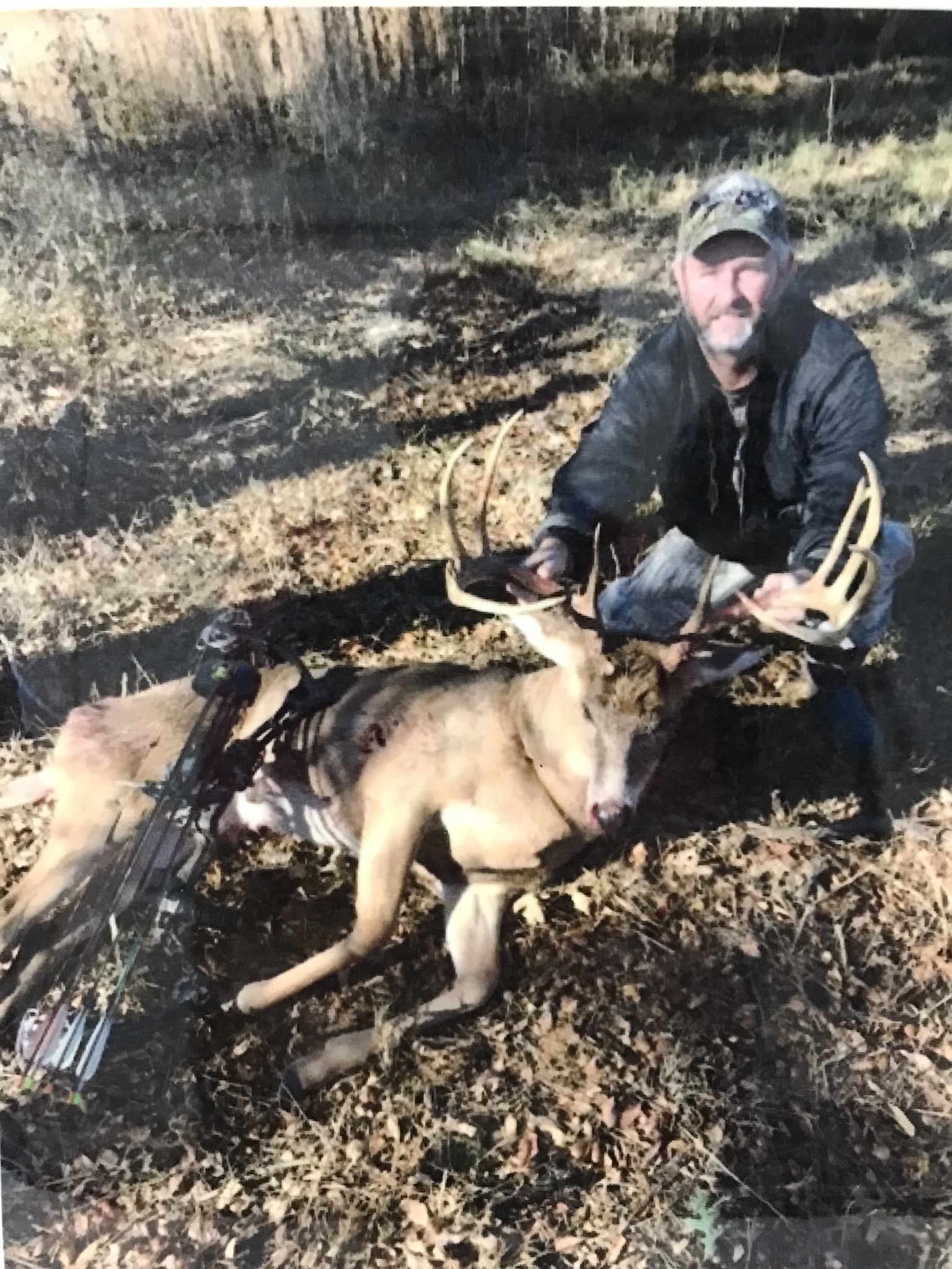 Deer love food plots with chestnut trees