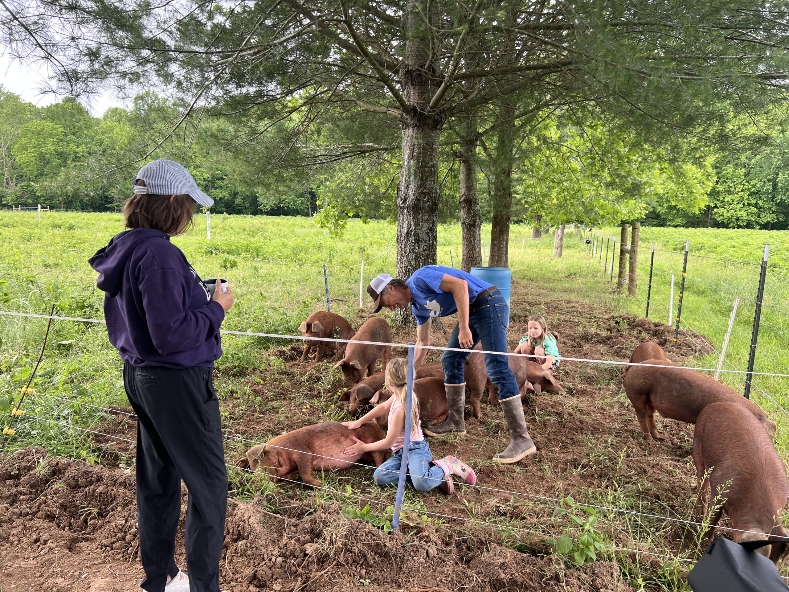 Family chestnut farming