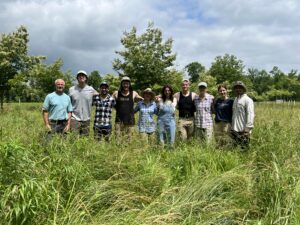 Chestnut farming at EBB Farms in Kentucky