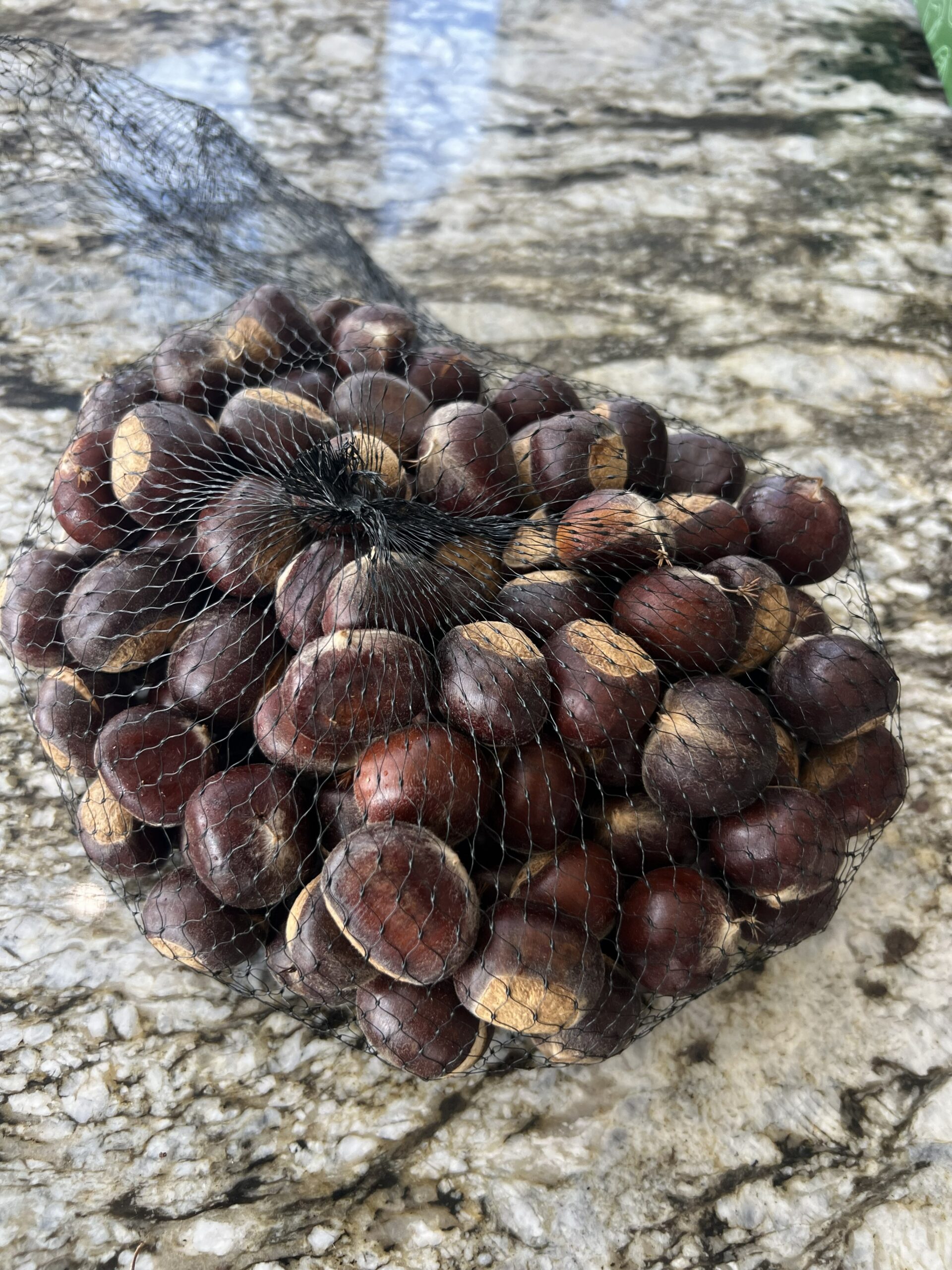 Small bag chestnuts from a 25 pound box from EBB Farms