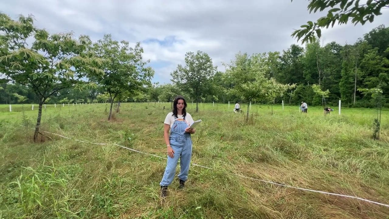 1000 Farms visits EBB Farms chestnut orchard to conduct important research.