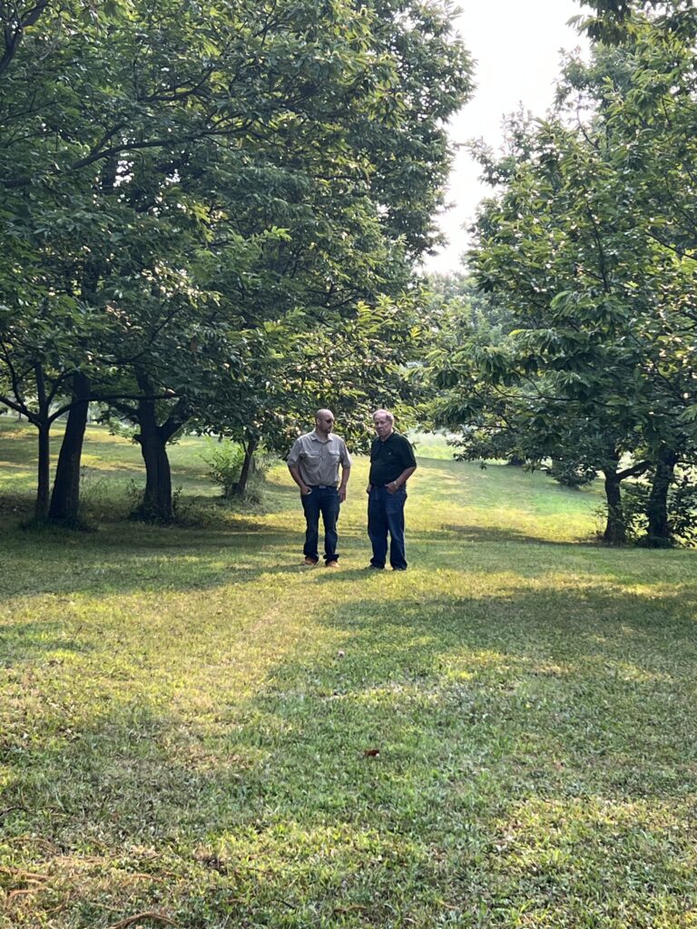The Smith's host United Chestnuts in a tour of their chestnut operation.