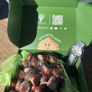 Fresh Chestnuts from United Chestnuts and EBB Farms in Kentucky