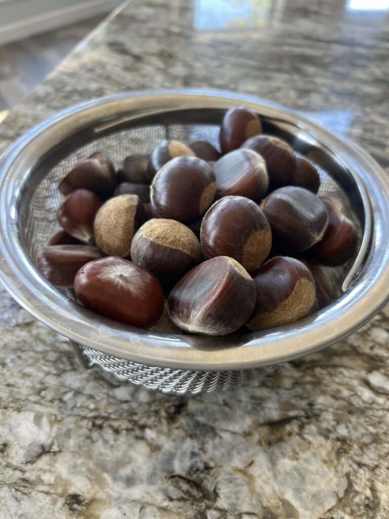 Fresh chestnuts for cooking a meal of country ribs and greens.