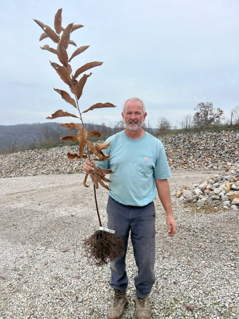 Brad Jones of EBB Farms holding a first year UMCA PQK grown in 3 Gallon Grow Bags at EBB Farms.