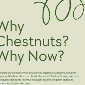 Find Your Why In Chestnut Farming PDF