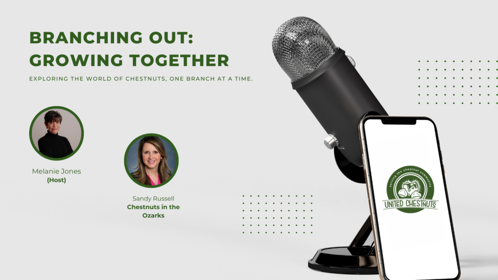 Promotional graphic for the Branching Out: Growing Together podcast featuring Sandy Russell. The image has a dark green background with a circular headshot of Sandy Russell and the text "The Operational Breaking Point" in bold white lettering.