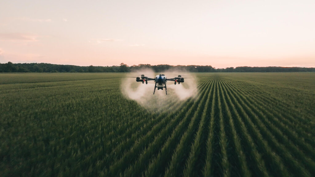 An AeroAg agricultural spray drone in a chestnut orchard, an exciting milestone after completing the drone approval process.