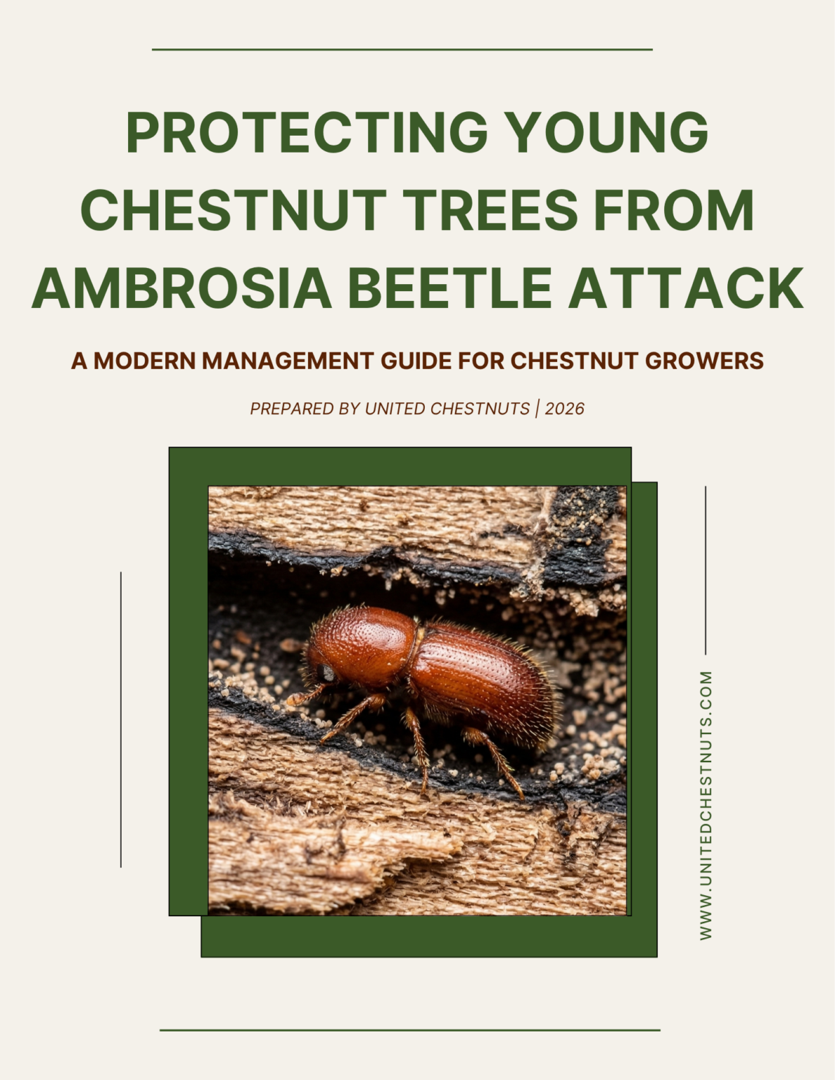 Ambrosia Beetle Chestnut Management: 2026 Protection Guide - United ...