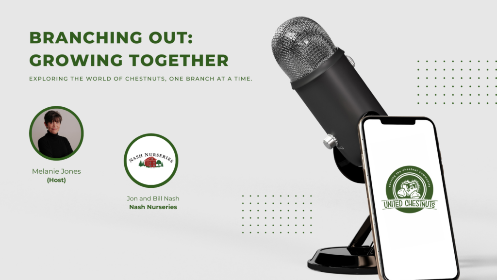Branching Out Growing Together podcast graphic featuring host Melanie Jones and guests Jon and Bill Nash from Nash Nurseries Michigan, with a microphone and United Chestnuts logo on a smartphone, promoting an episode about starting a chestnut orchard.