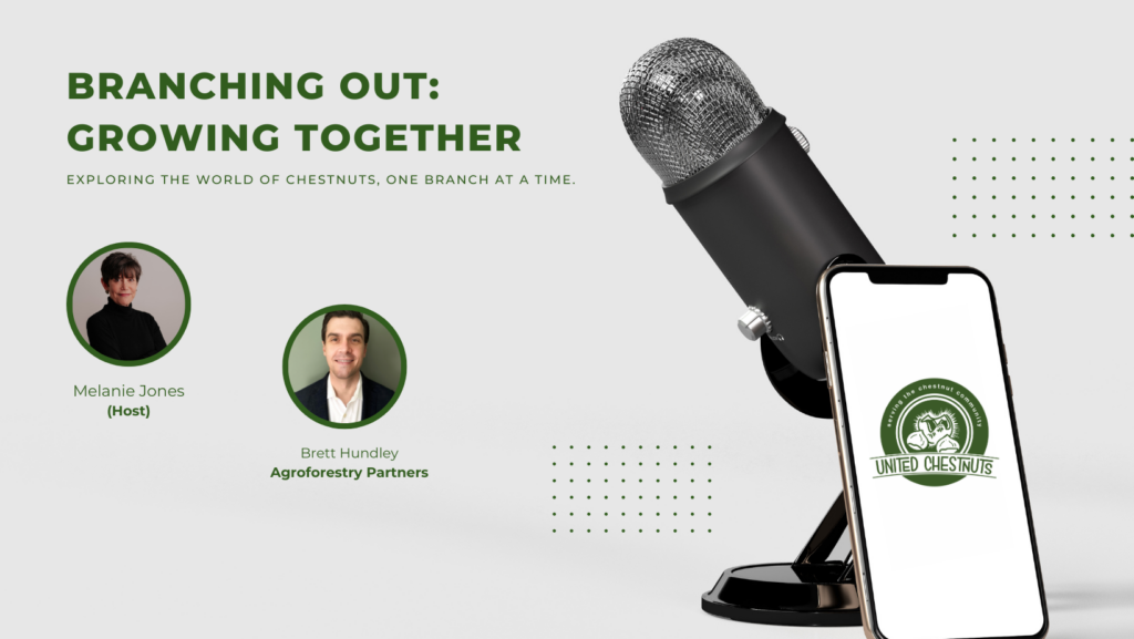 Branching Out: Growing Together podcast episode graphic featuring host Melanie Jones and guest Brett Hundley of Agroforestry Partners — discussing chestnut farming and long-term farm investment