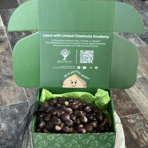 Open box of premium chestnut seed nuts for planting from EBB Farms, with mesh bag of nuts and United Chestnuts Academy branding