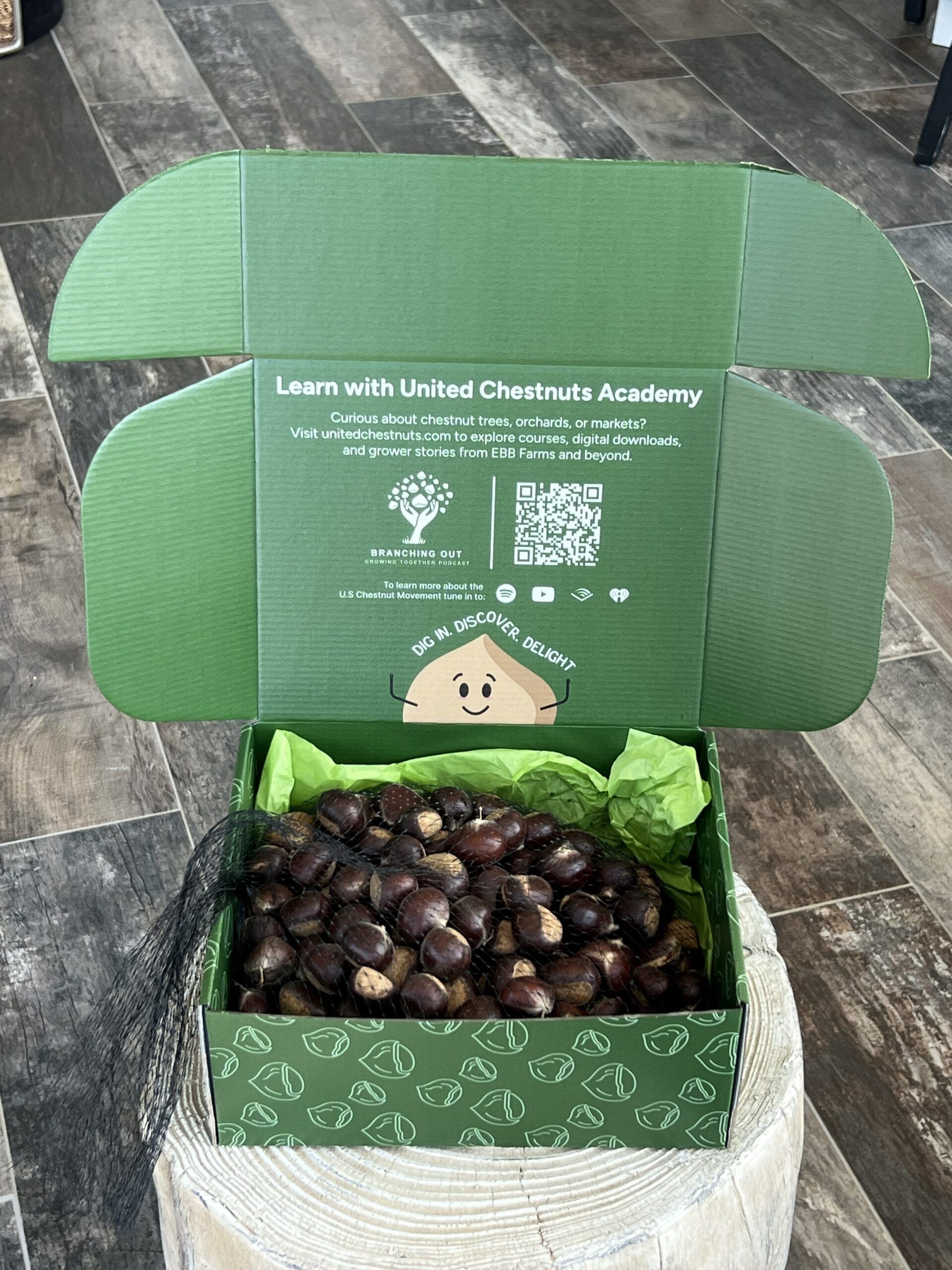 Open box of premium chestnut seed nuts for planting from EBB Farms, with mesh bag of nuts and United Chestnuts Academy branding