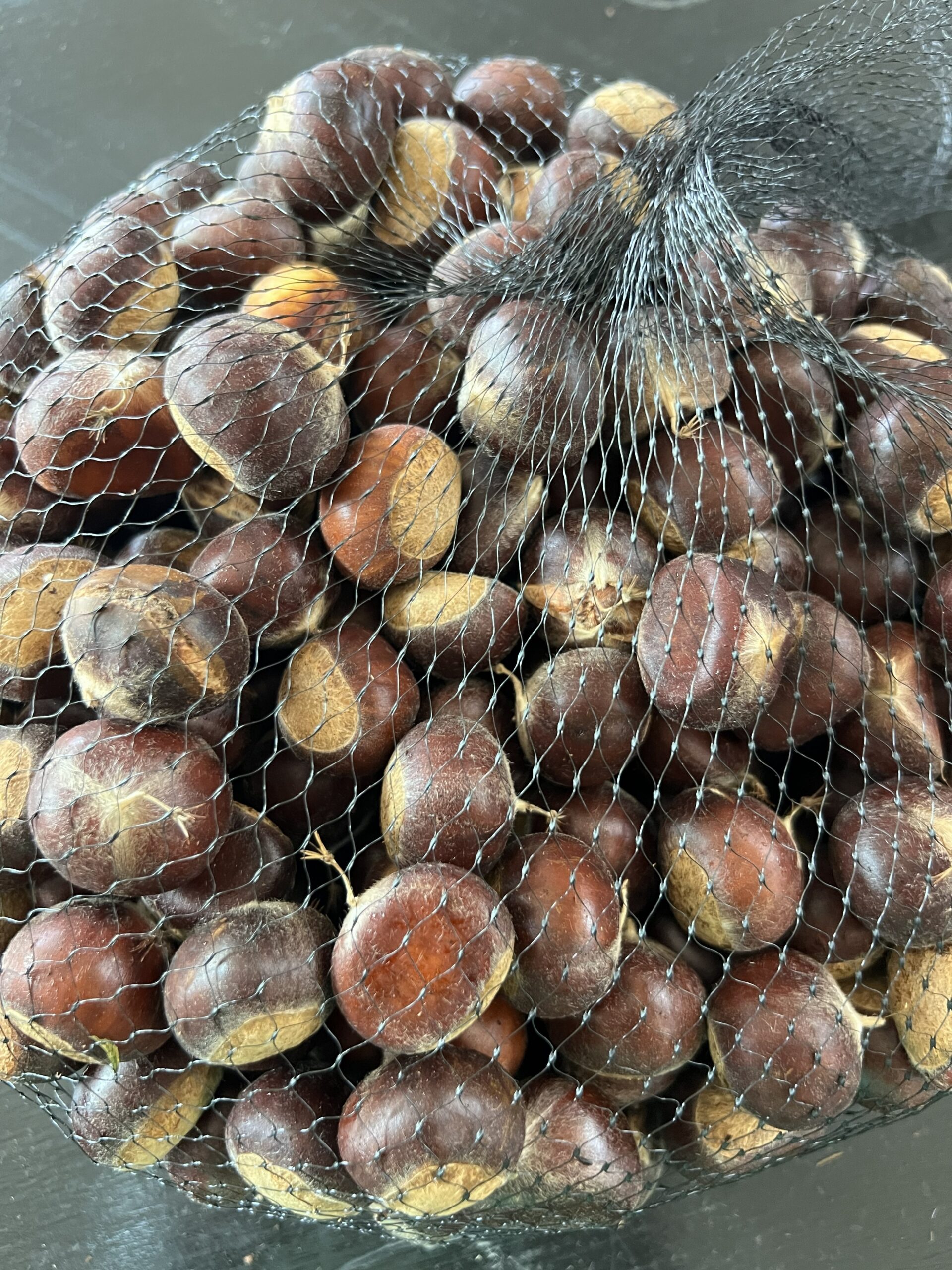 Premium Chestnut Seed Nuts — 5 lb Box | EBB Farms