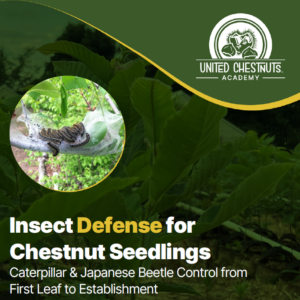 Chestnut guide to help chestnut farmers develop defense for pests