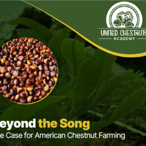 Beyond the Song: The Case for American Chestnut Farming