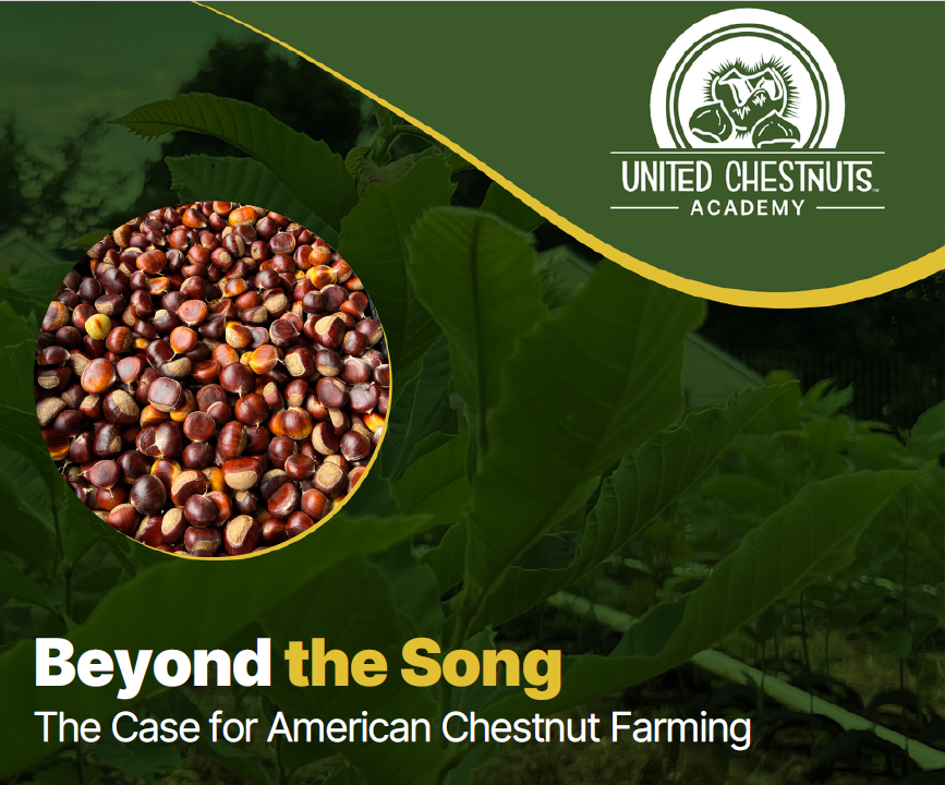 Beyond the Song: The Case for American Chestnut Farming