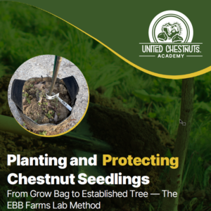 Chestnut Tree Planting Guide