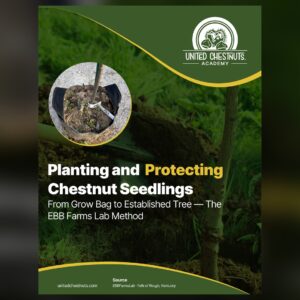 Chestnut seedling in its grow bag — how to plant a tree, the EBB Farms Lab method