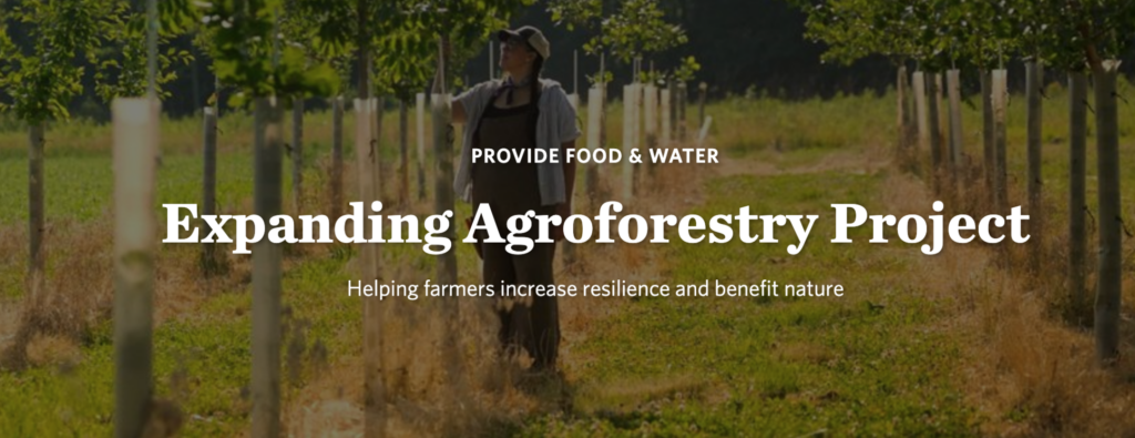 A farmer in a cap and apron stands in a row of young trees protected by white tree tubes, beneath the banner text "Expanding Agroforestry Project — Helping farmers increase resilience and benefit nature."