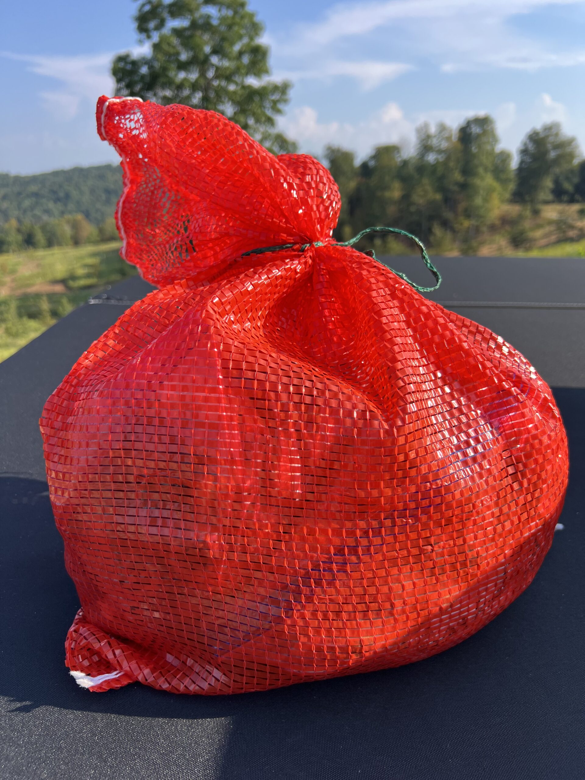 A ten pound bag of fresh chestnuts harvested from EBB Farms in Kentucky.