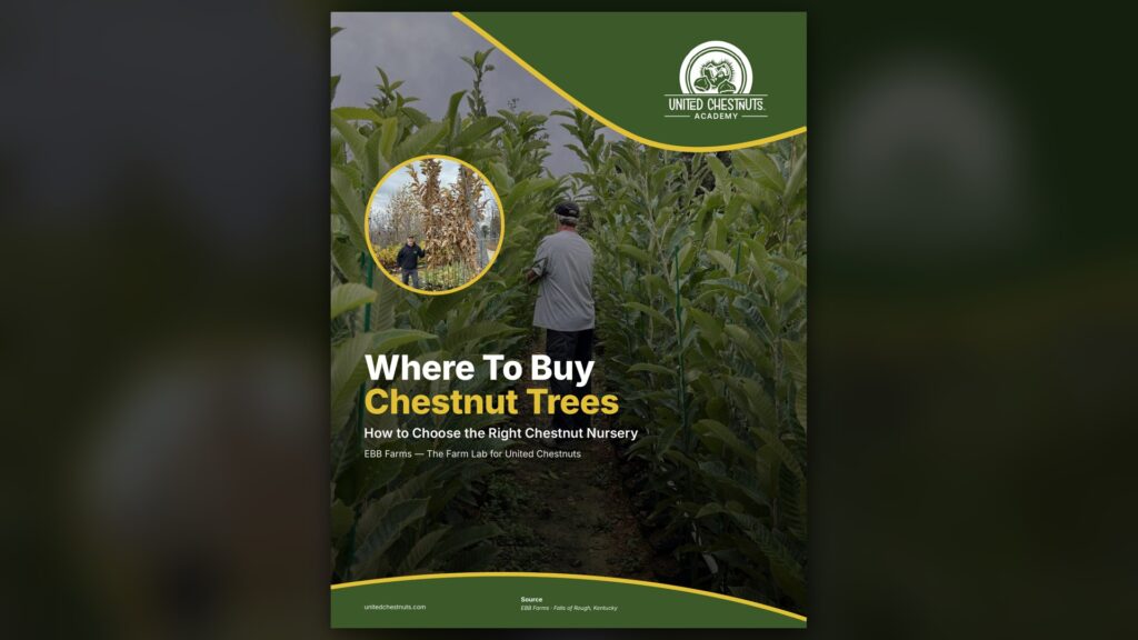 Chestnut nursery guide cover from the United Chestnuts Academy