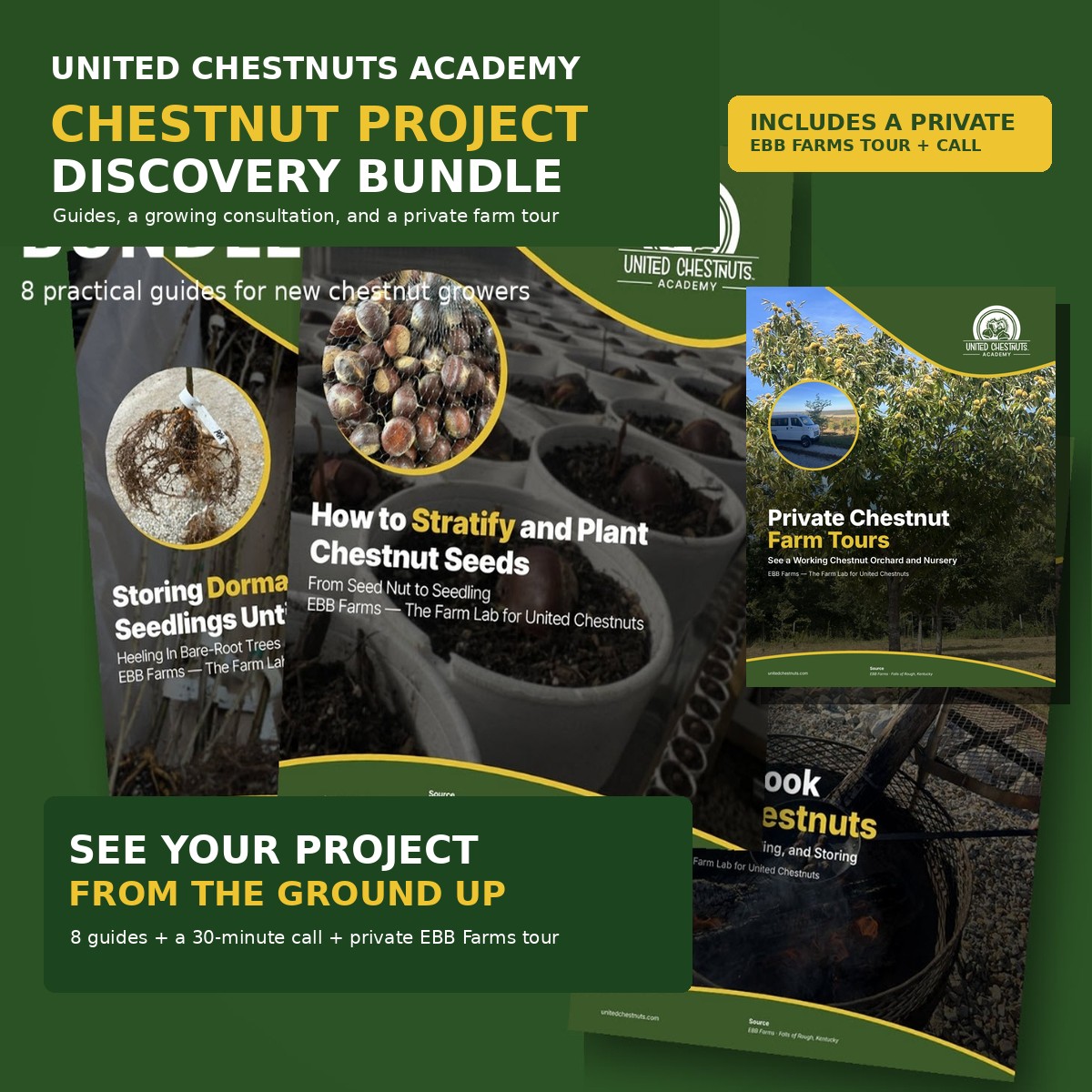 Chestnut Project Discovery Bundle with United Chestnuts Academy guides, a private EBB Farms farm tour, and a 30-minute chestnut growing call.
