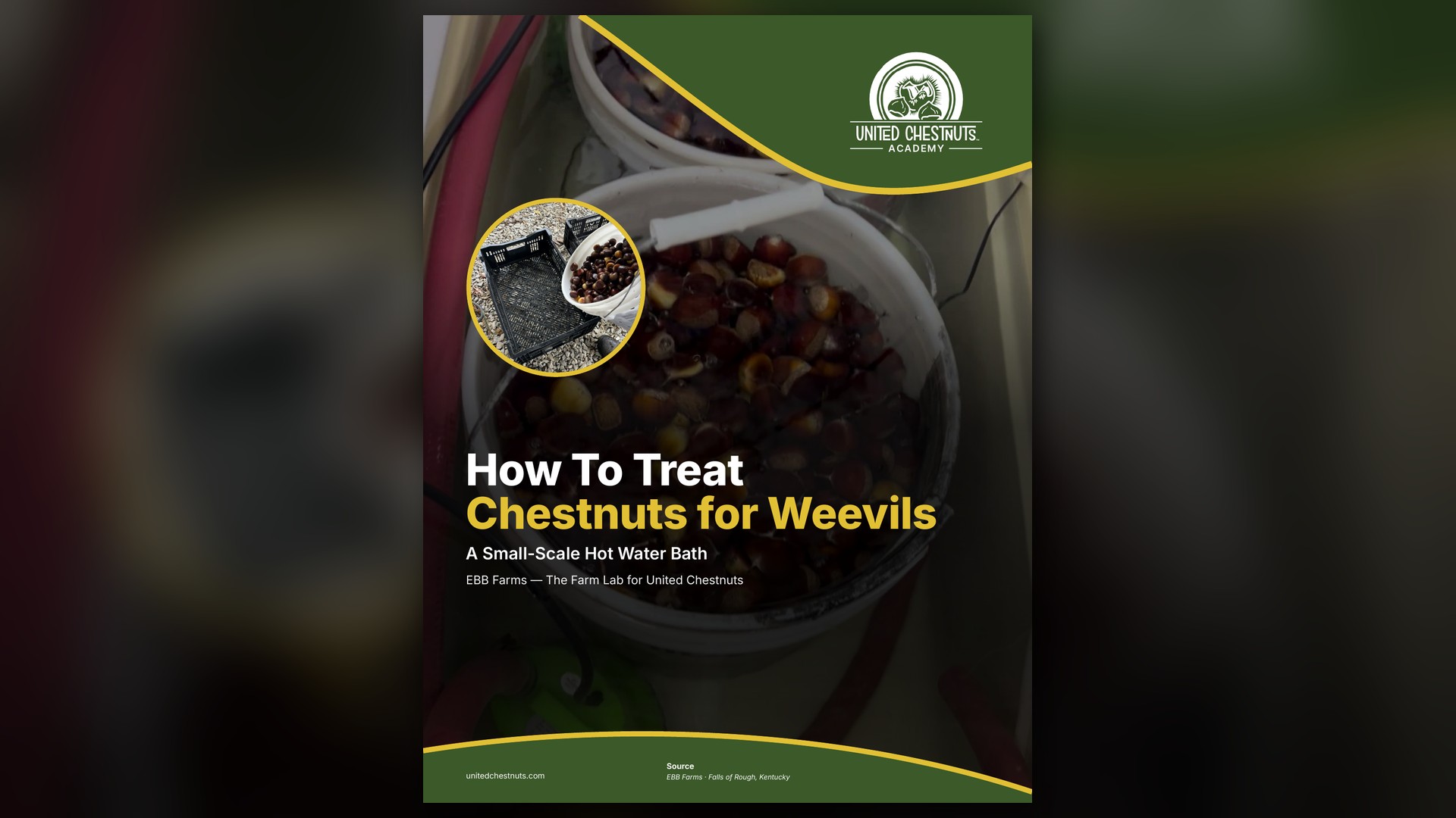 Chestnut weevil treatment guide cover from the United Chestnuts Academy